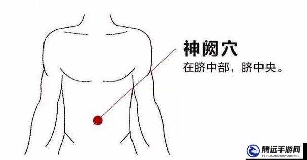 女性半夜蓮花開放的治療方法：按摩穴道促進血液循環(huán)