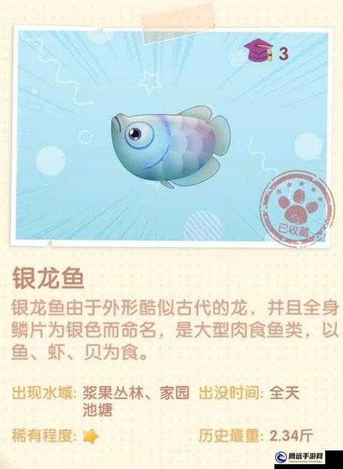 摩爾莊園手游銀龍魚獲取攻略