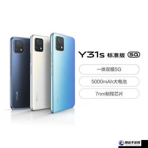 成色好的 y31s 標(biāo)準(zhǔn)版人民網(wǎng)：值得擁有的優(yōu)質(zhì)之選