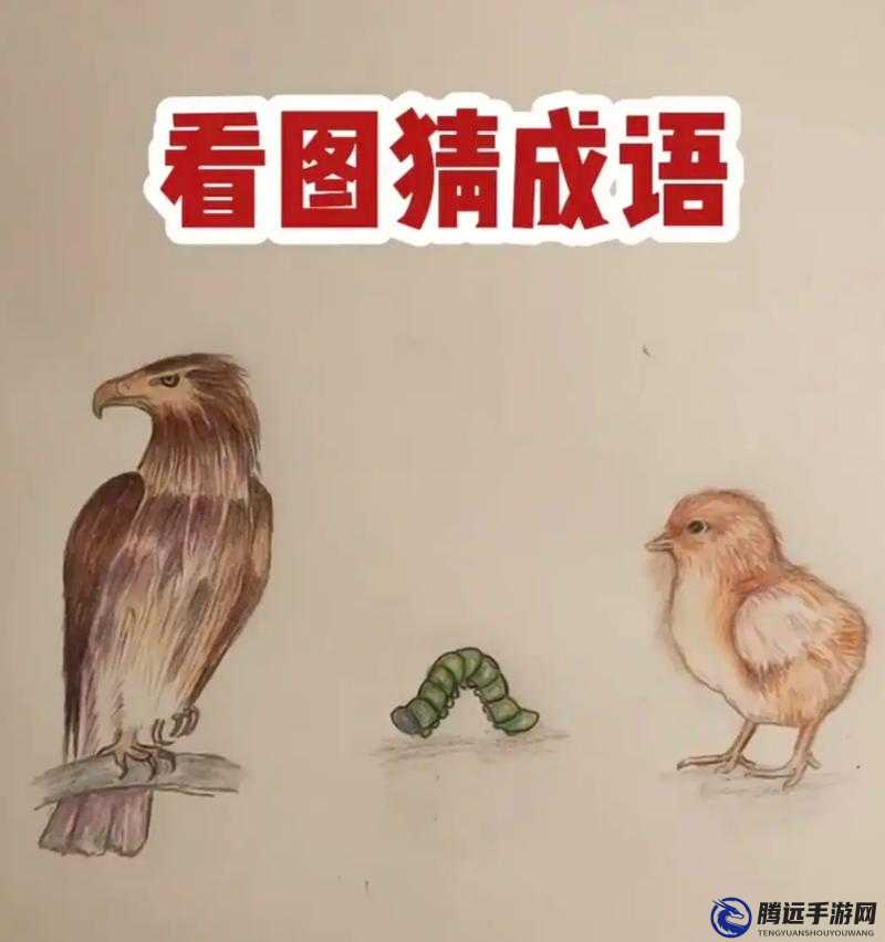 雙截棍插在土里是哪個成語？瘋狂猜成語第464關答案覽