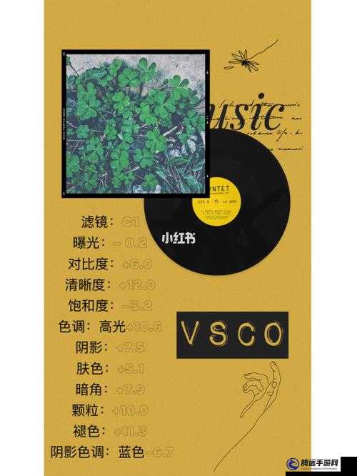 一級調(diào)色二級調(diào)色三級調(diào)色054 宣布加入野草資源：全新征程